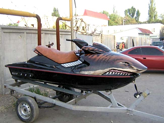 IMG 1240 1